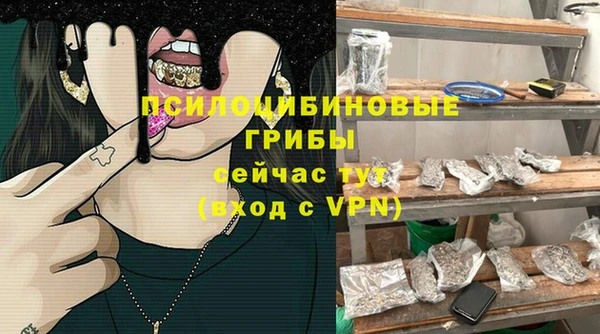 эйфоретик Алексин